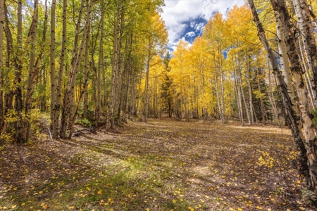 Colorado Hunting Ranch for Sale in Twin Lakes, CO! - image 11
