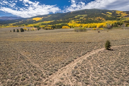 Colorado Hunting Ranch for Sale in Twin Lakes, CO! - image 25