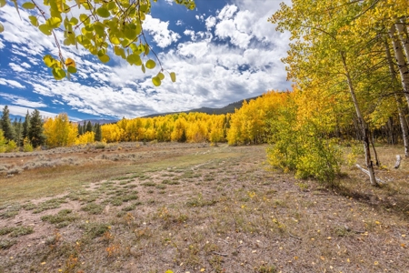 Colorado Hunting Ranch for Sale in Twin Lakes, CO! - image 10