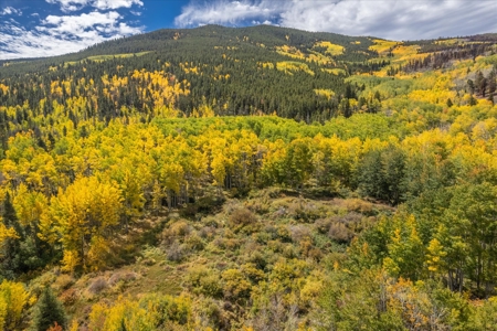 Colorado Hunting Ranch for Sale in Twin Lakes, CO! - image 18