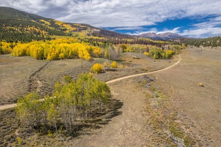 Colorado Hunting Ranch for Sale in Twin Lakes, CO! - image 5
