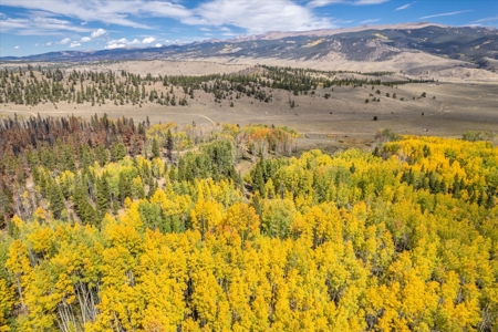 Colorado Hunting Ranch for Sale in Twin Lakes, CO! - image 20