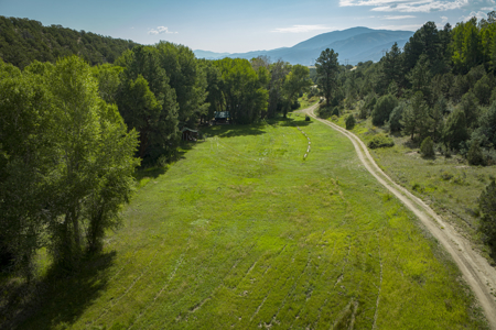 Cattle/Hay/Hunting Ranch for Sale in Salida, Colorado! - image 13