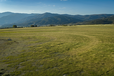 Cattle/Hay/Hunting Ranch for Sale in Salida, Colorado! - image 4