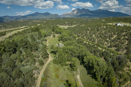Cattle/Hay/Hunting Ranch for Sale in Salida, Colorado! - image 11