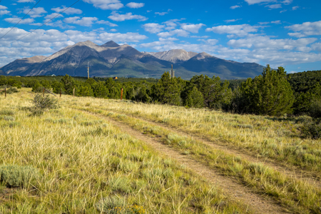 Cattle/Hay/Hunting Ranch for Sale in Salida, Colorado! - image 10