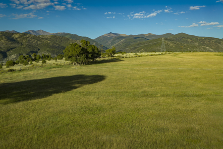 Cattle/Hay/Hunting Ranch for Sale in Salida, Colorado! - image 6