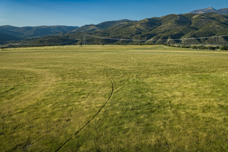 Cattle/Hay/Hunting Ranch for Sale in Salida, Colorado! - image 3