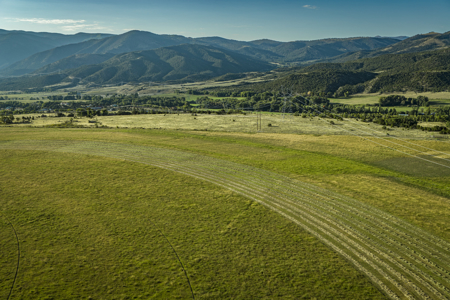 Cattle/Hay/Hunting Ranch for Sale in Salida, Colorado! - image 8