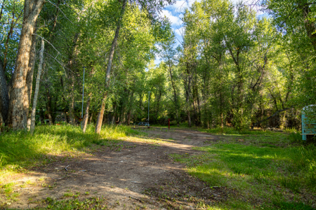 Cattle/Hay/Hunting Ranch for Sale in Salida, Colorado! - image 18