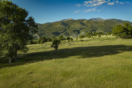 Cattle/Hay/Hunting Ranch for Sale in Salida, Colorado! - image 5