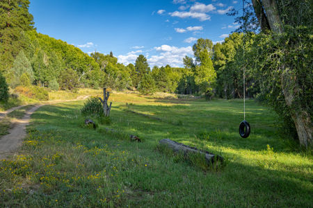 Cattle/Hay/Hunting Ranch for Sale in Salida, Colorado! - image 14