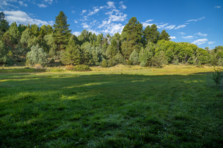 Cattle/Hay/Hunting Ranch for Sale in Salida, Colorado! - image 15
