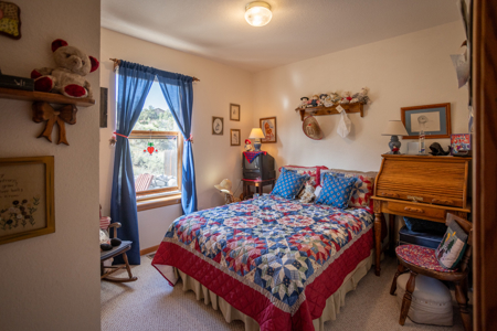 4 Bedroom Home for Sale in Salida, CO - image 30