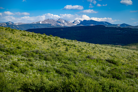Luxury Vail Valley Tuscan Home for Sale in Wolcott, CO - image 44