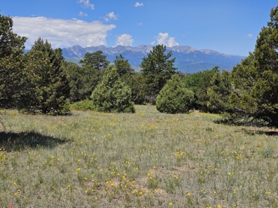 Ranch for Sale in Cotopaxi, Colorado.  170 acres. 4bdrm Home. - image 45