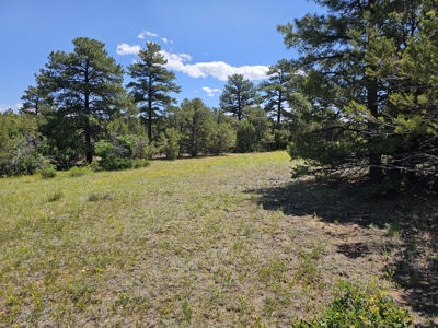 Ranch for Sale in Cotopaxi, Colorado.  170 acres. 4bdrm Home. - image 43