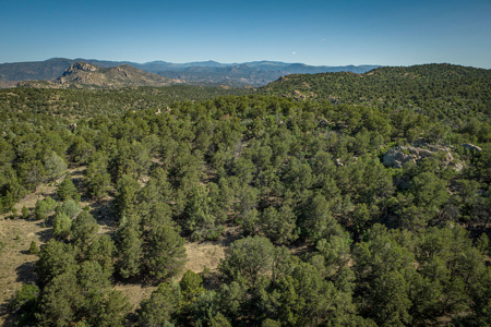 Ranch for Sale in Cotopaxi, Colorado.  170 acres. 4bdrm Home. - image 46