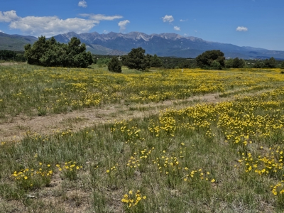 Ranch for Sale in Cotopaxi, Colorado.  170 acres. 4bdrm Home. - image 42