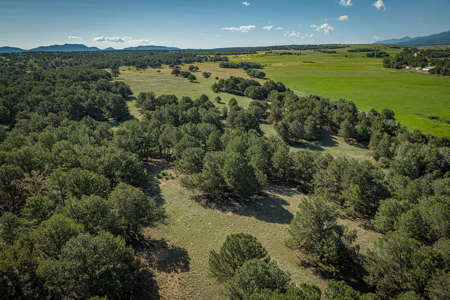 Ranch for Sale in Cotopaxi, Colorado.  170 acres. 4bdrm Home. - image 47