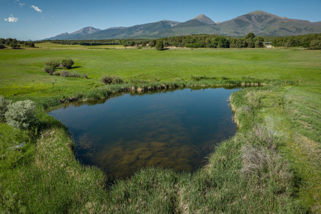 Ranch for Sale in Cotopaxi, Colorado.  170 acres. 4bdrm Home. - image 5