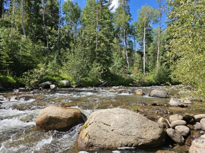 Riverfront Acreage for Sale in Salida, CO - image 4