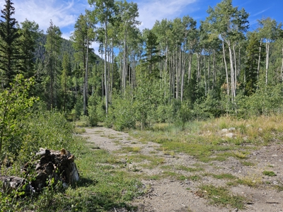 Riverfront Acreage for Sale in Salida, CO - image 7