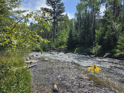 Riverfront Acreage for Sale in Salida, CO - image 3