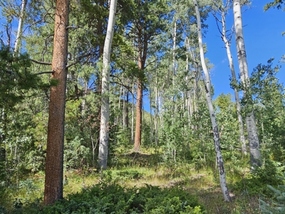 Riverfront Acreage for Sale in Salida, CO - image 22