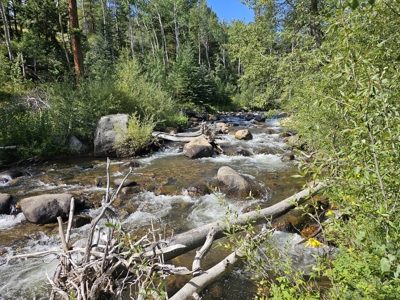 Riverfront Acreage for Sale in Salida, CO - image 18
