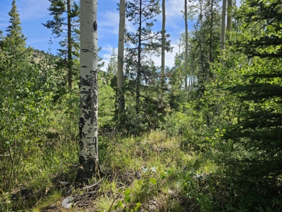 Riverfront Acreage for Sale in Salida, CO - image 8