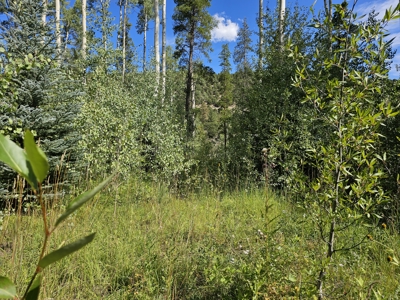 Riverfront Acreage for Sale in Salida, CO - image 14