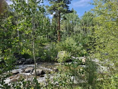 Riverfront Acreage for Sale in Salida, CO - image 17