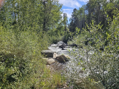 Riverfront Acreage for Sale in Salida, CO - image 11