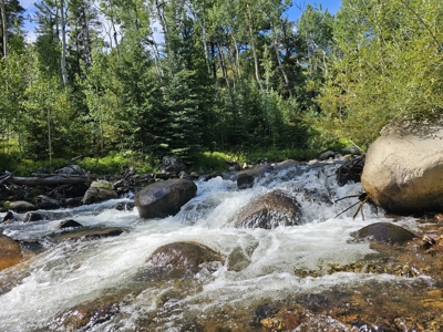 Riverfront Acreage for Sale in Salida, CO - image 12