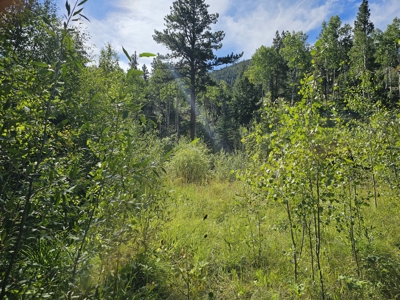 Riverfront Acreage for Sale in Salida, CO - image 10