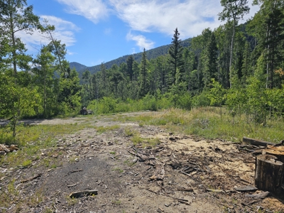 Riverfront Acreage for Sale in Salida, CO - image 6