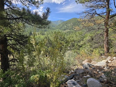 Riverfront Acreage for Sale in Salida, CO - image 23