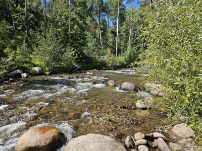 Riverfront Acreage for Sale in Salida, CO - image 2