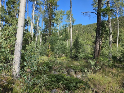Riverfront Acreage for Sale in Salida, CO - image 15