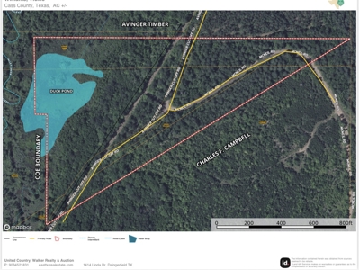 Duck Hunting Property with Duck Slough located in Avinger Texas - image 1