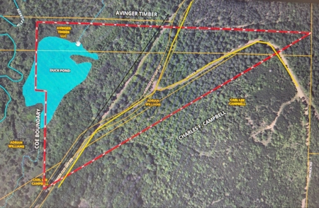 Duck Hunting Property with Duck Slough located in Avinger Texas - image 2