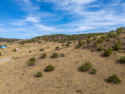 Plenty of privacy with this end of the road 5+ acre parcel - image 11