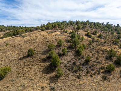 Plenty of privacy with this end of the road 5+ acre parcel - image 3
