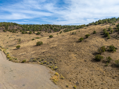 Plenty of privacy with this end of the road 5+ acre parcel - image 2