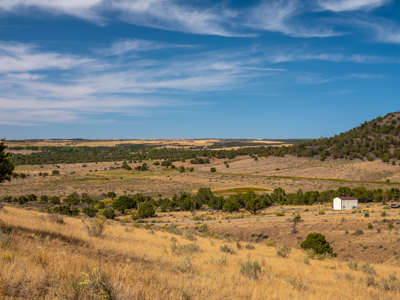 Plenty of privacy with this end of the road 5+ acre parcel - image 29