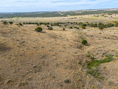 Plenty of privacy with this end of the road 5+ acre parcel - image 16