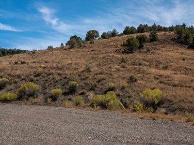 Plenty of privacy with this end of the road 5+ acre parcel - image 21