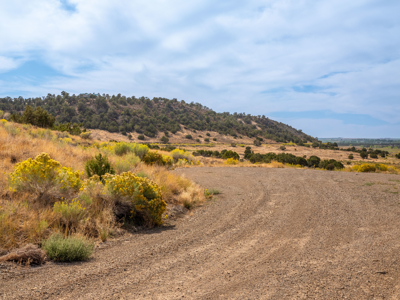 Plenty of privacy with this end of the road 5+ acre parcel - image 32