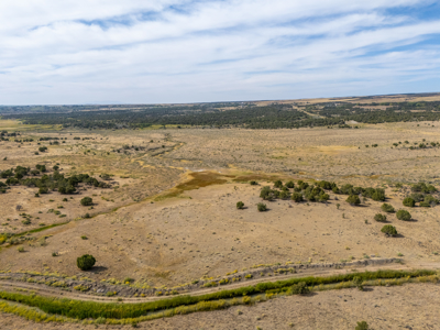 Plenty of privacy with this end of the road 5+ acre parcel - image 5